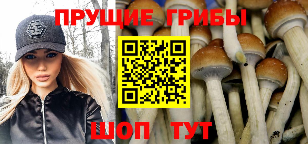 Кандалакша  Псилоцибиновые грибы мухоморы  Вход с VPN  Псилоцибиновые грибы прущие грибы 